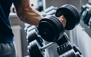 Muscle Building Training